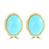 11.25ct Turquoise Earrings with 0.161tct Diamond set in 14K Yellow Gold