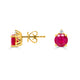     A-Earrings-70259YG-YG-2