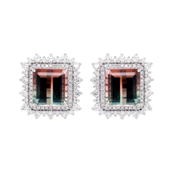    A-Earrings-912225-WG-1