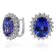    A-Earrings-913050-WG-1