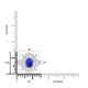    A-Ring-ADG914946_J20785-WG-6