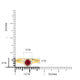    A-Rings-45027_YG_-YG-6