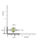    A-Rings-460077NHJ16330-WG-6