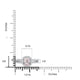    A-Rings-50161NHJ16289-WG-6
