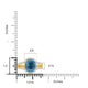    A-Rings-50895_2-YG-6