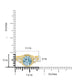    A-Rings-50910_5-YG-6