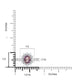    A-Rings-50952NHJ16296-WG-6