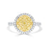 0.16tct Yellow Diamond Ring with 0.73ct Diamonds set in 14K Two Tone gold