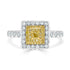 0.09tct Yellow Diamond ring with 0.52tct diamonds set in 18kt two tone gold