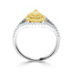 A-Rings-51536j20729-WG-2