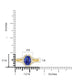    A-Rings-51563J19702-YG-6