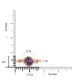 A-Rings-51613NHJ16316-RG-6