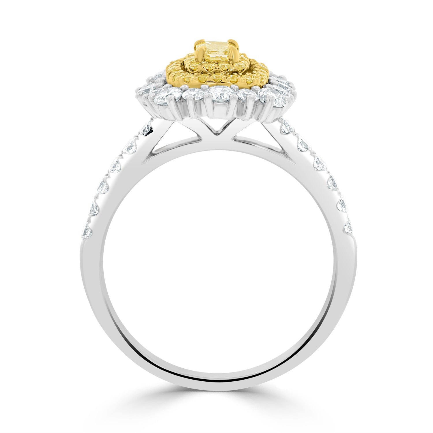 A-Rings-51637-WG-2