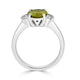     A-Rings-911109-1-WG-2