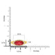     A-Rings-914949_YG_-YG-6