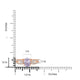 A-Rings-NY12114NHJ16270-RG-6