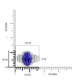 A-Rings-R0014_7-WG-6