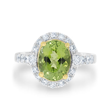       A-Rings-VNR72J15491-TT-_1_2f8433a5-ac9f-4d64-92f8-bd06d572b5db